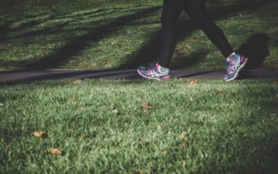 30 minutes a day of exercise can reduce the risk of Cancer.